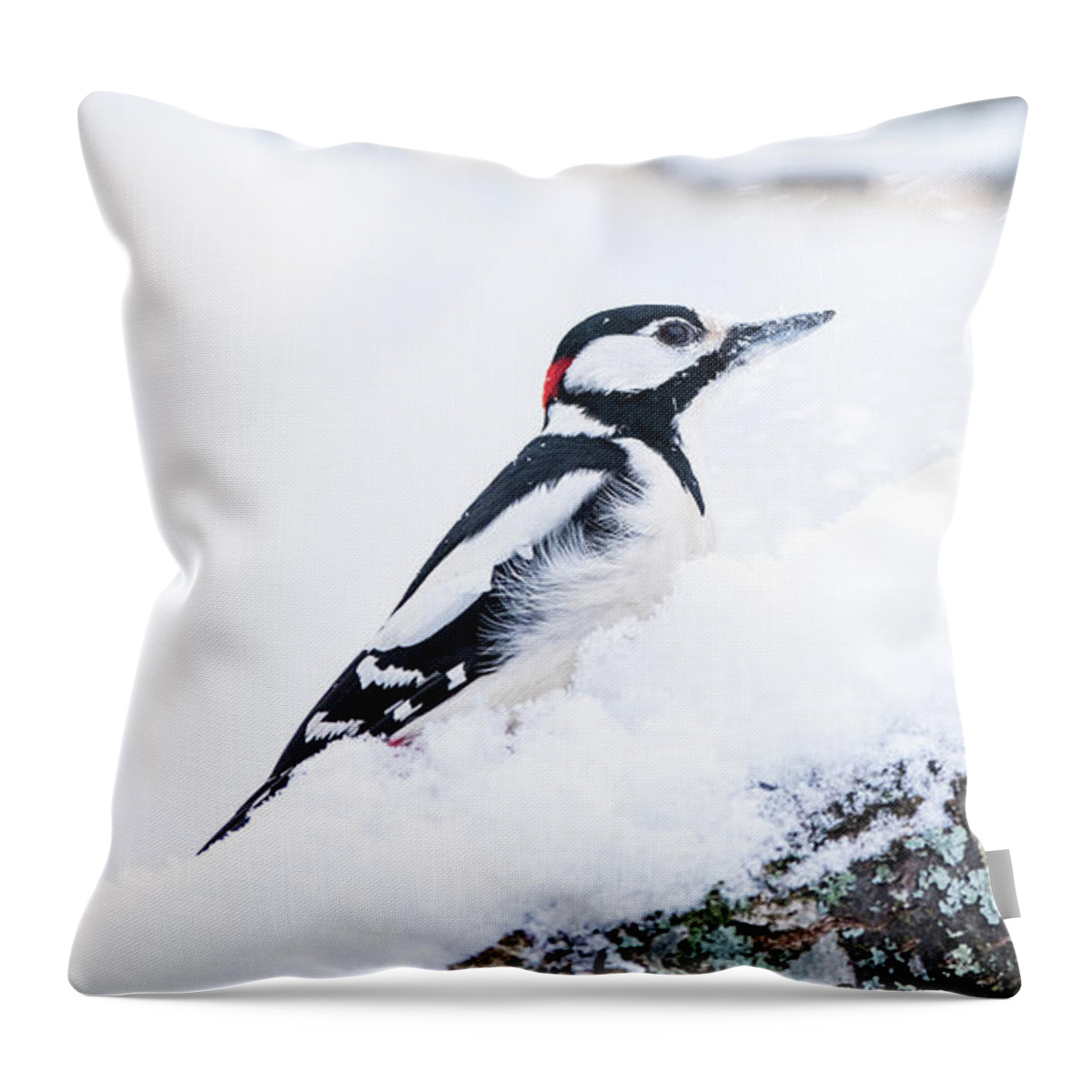 Woodpecker On Snow Throw Pillow featuring the photograph Woodpecker on a snowy branch by Torbjorn Swenelius