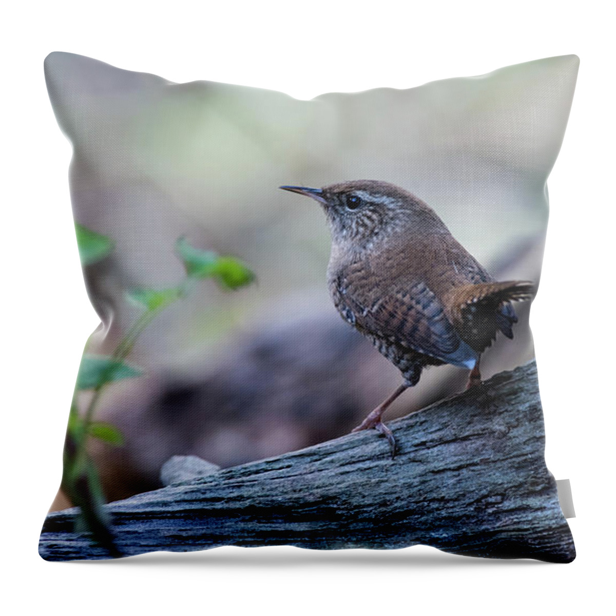 Wren Throw Pillow featuring the photograph Wren by Torbjorn Swenelius