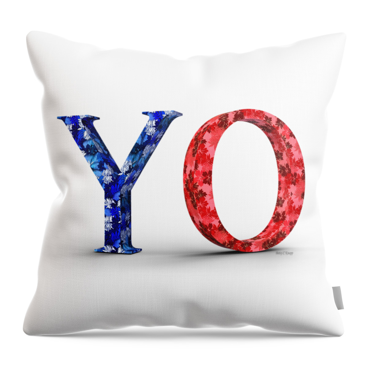 Yo Throw Pillow featuring the digital art Y O by Betsy Knapp