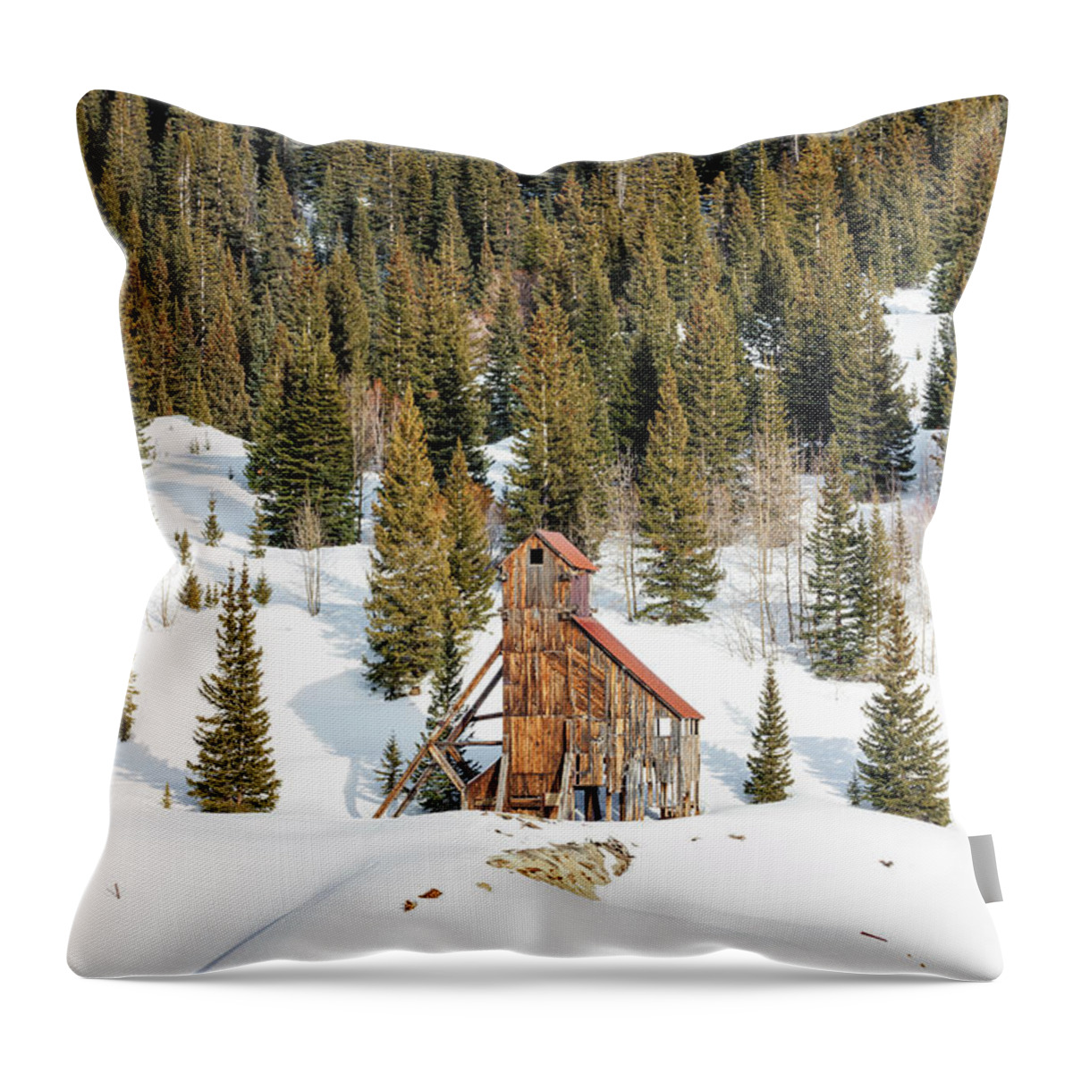 Yankee Girl Throw Pillow featuring the photograph Yankee Girl In Winter by Denise Bush