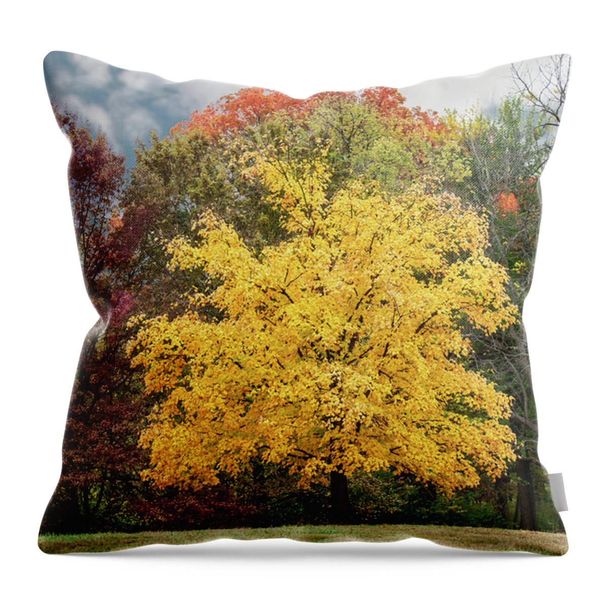Yellow Leaves Throw Pillow featuring the photograph Yellow Autumn by Ed Taylor