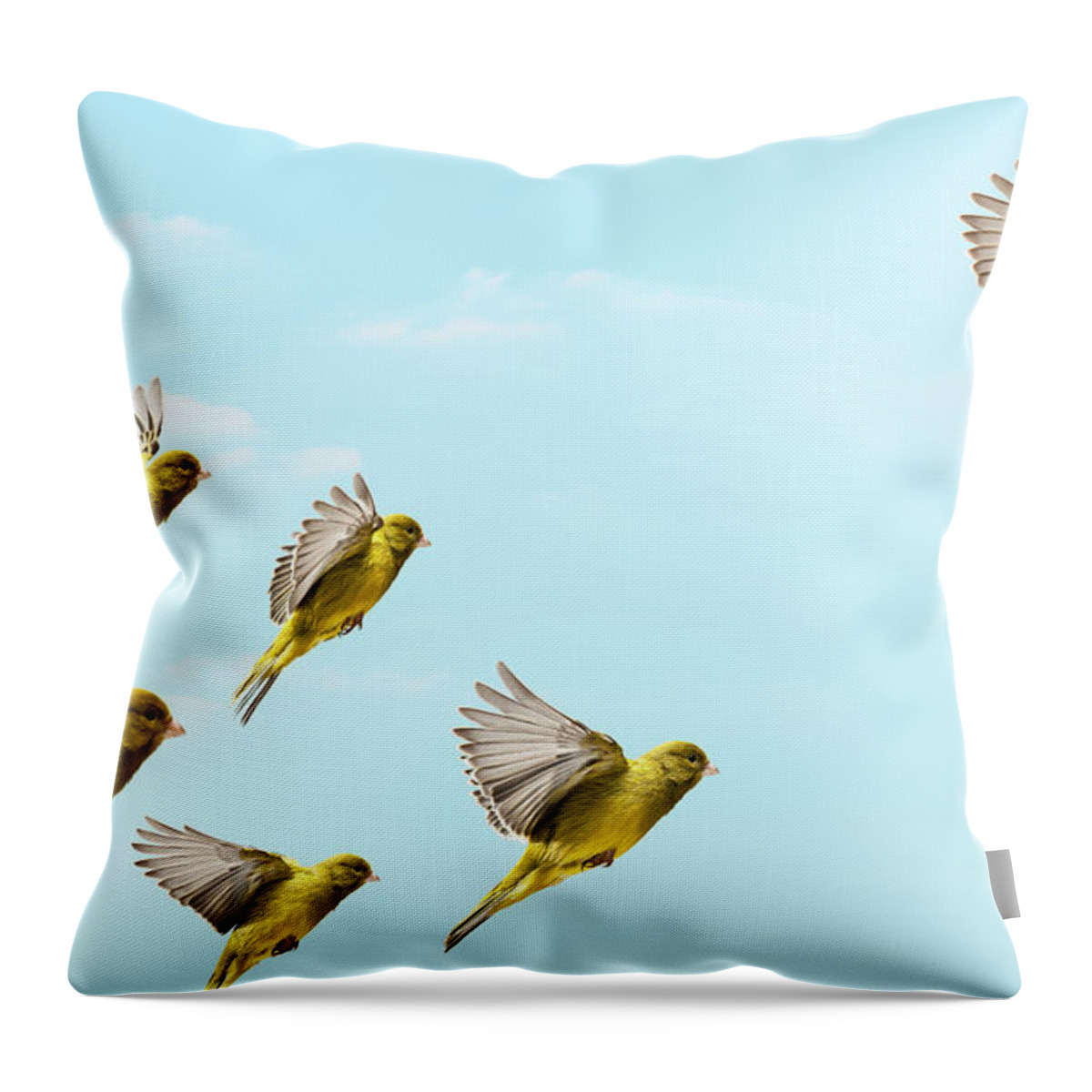 Animal Themes Throw Pillow featuring the photograph Yellow Bird Flying In-front And Higher by Pier