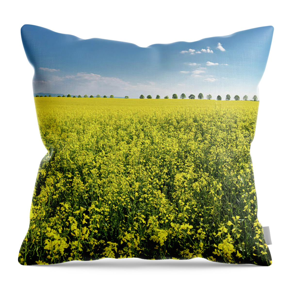 Canola Throw Pillow featuring the photograph Yellow Canola Field and blue Sky Spring Landscape by Matthias Hauser