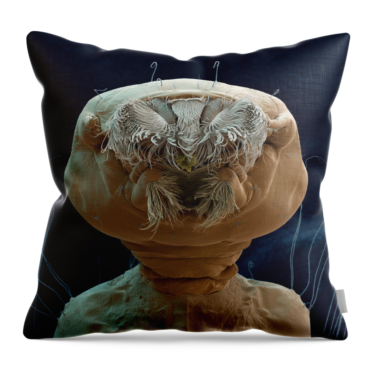 Aedes Aegypti Throw Pillow featuring the photograph Yellow Fever Mosquito, Aedes Aegypti by Meckes/ottawa