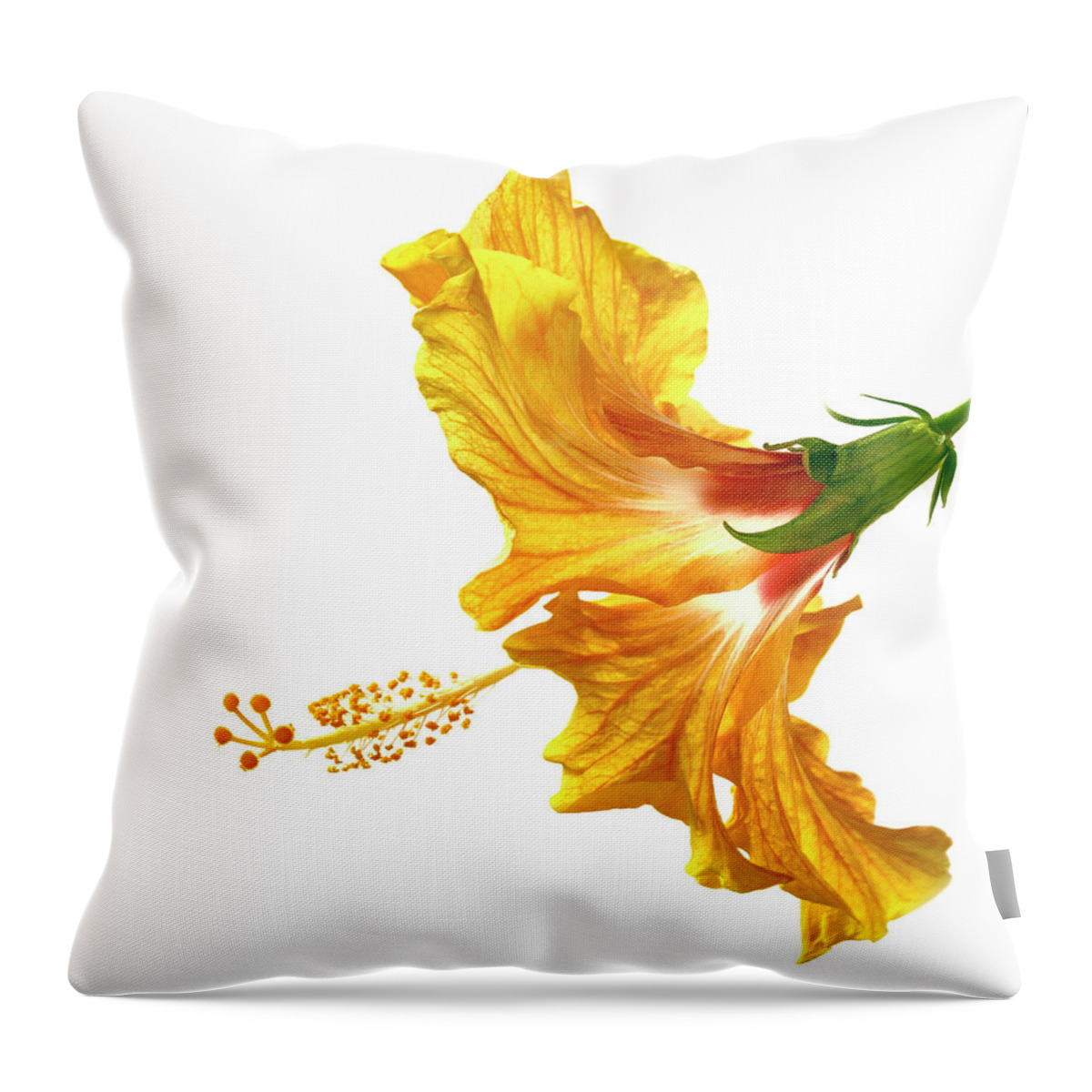 Hibiscus Throw Pillow featuring the photograph Yellow Hibiscus by Christopher Johnson