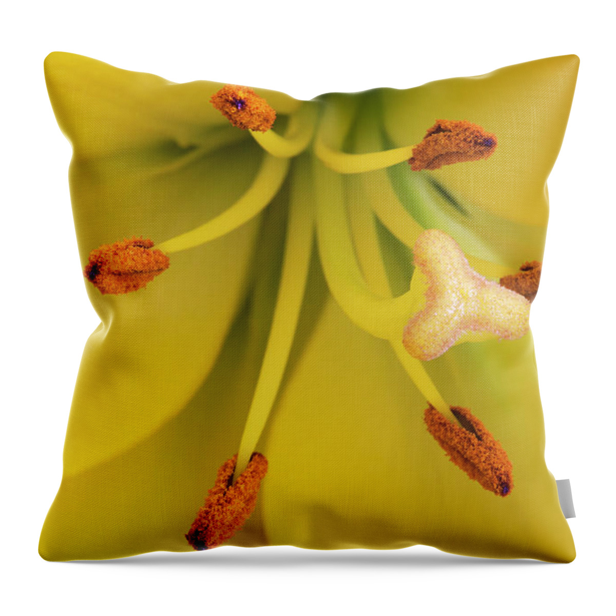 Netherlands Throw Pillow featuring the photograph Yellow Lily, Pistil And Stamens by Roel Meijer