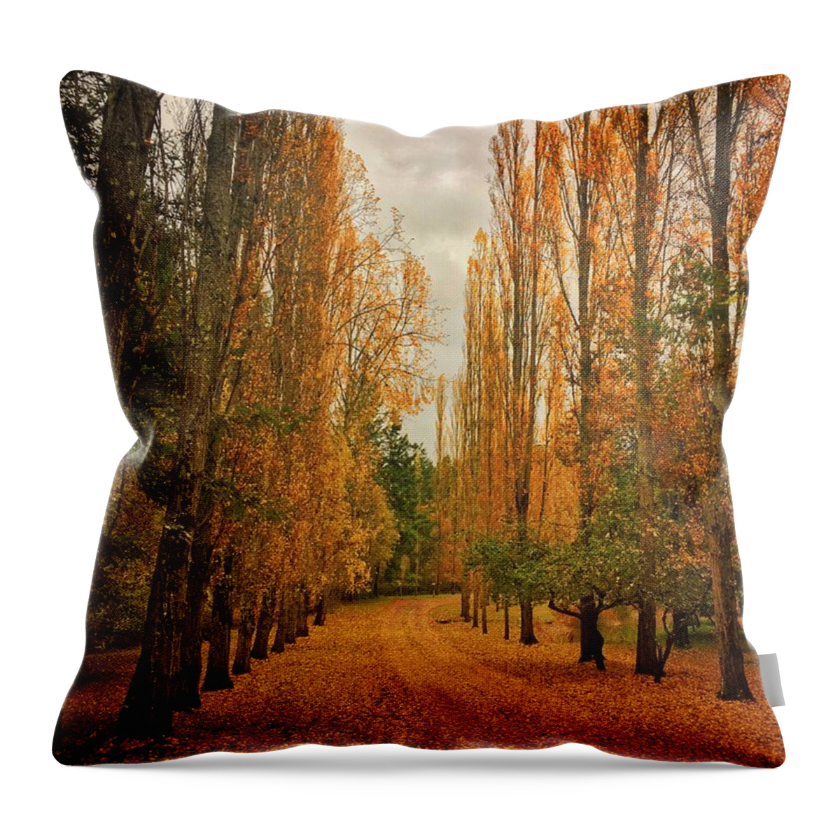 Autumn Throw Pillow featuring the photograph Yellow Road by Jerry Abbott