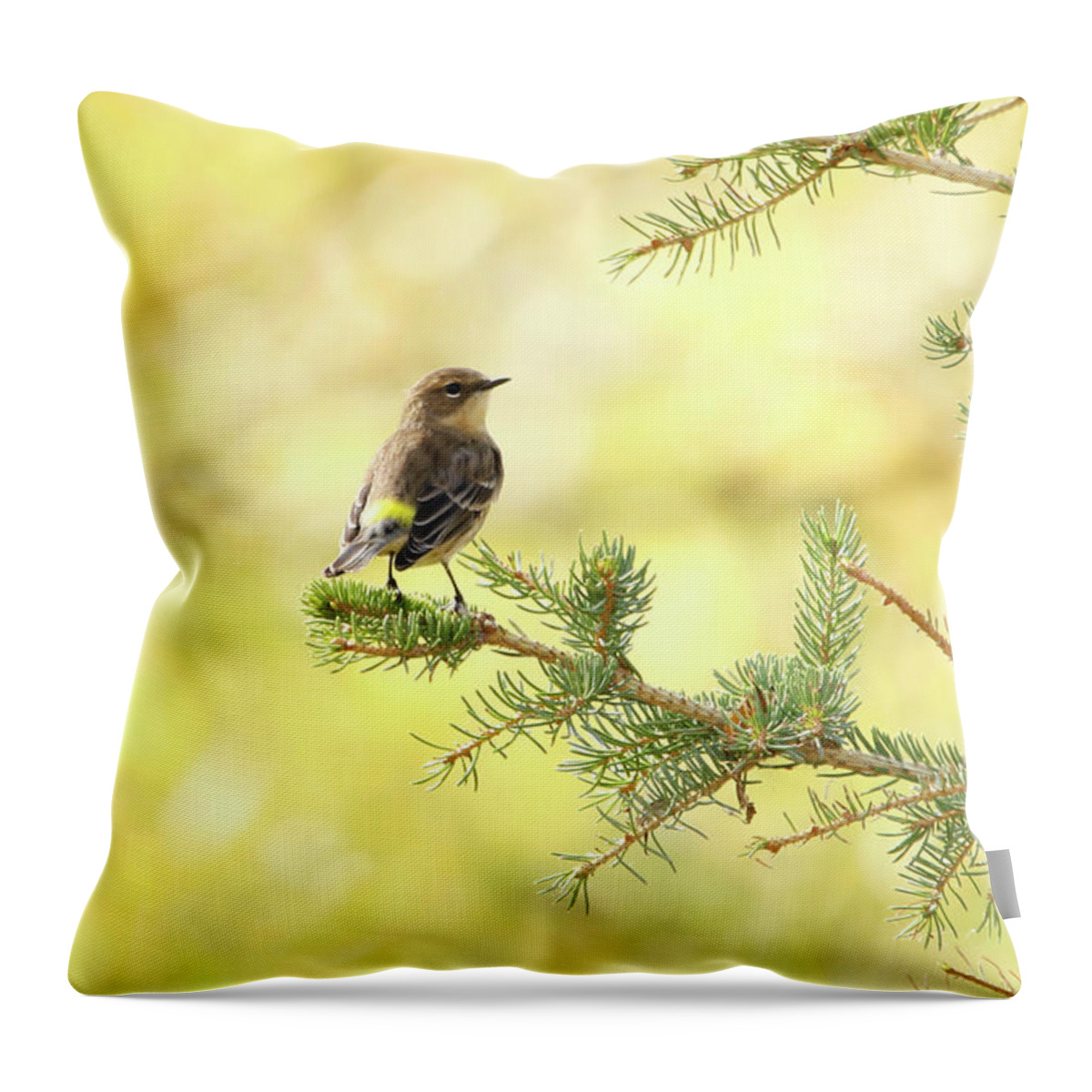 Yellow-rumped Warbler Throw Pillow featuring the photograph Yellow-rumped Warbler by Ryan Crouse
