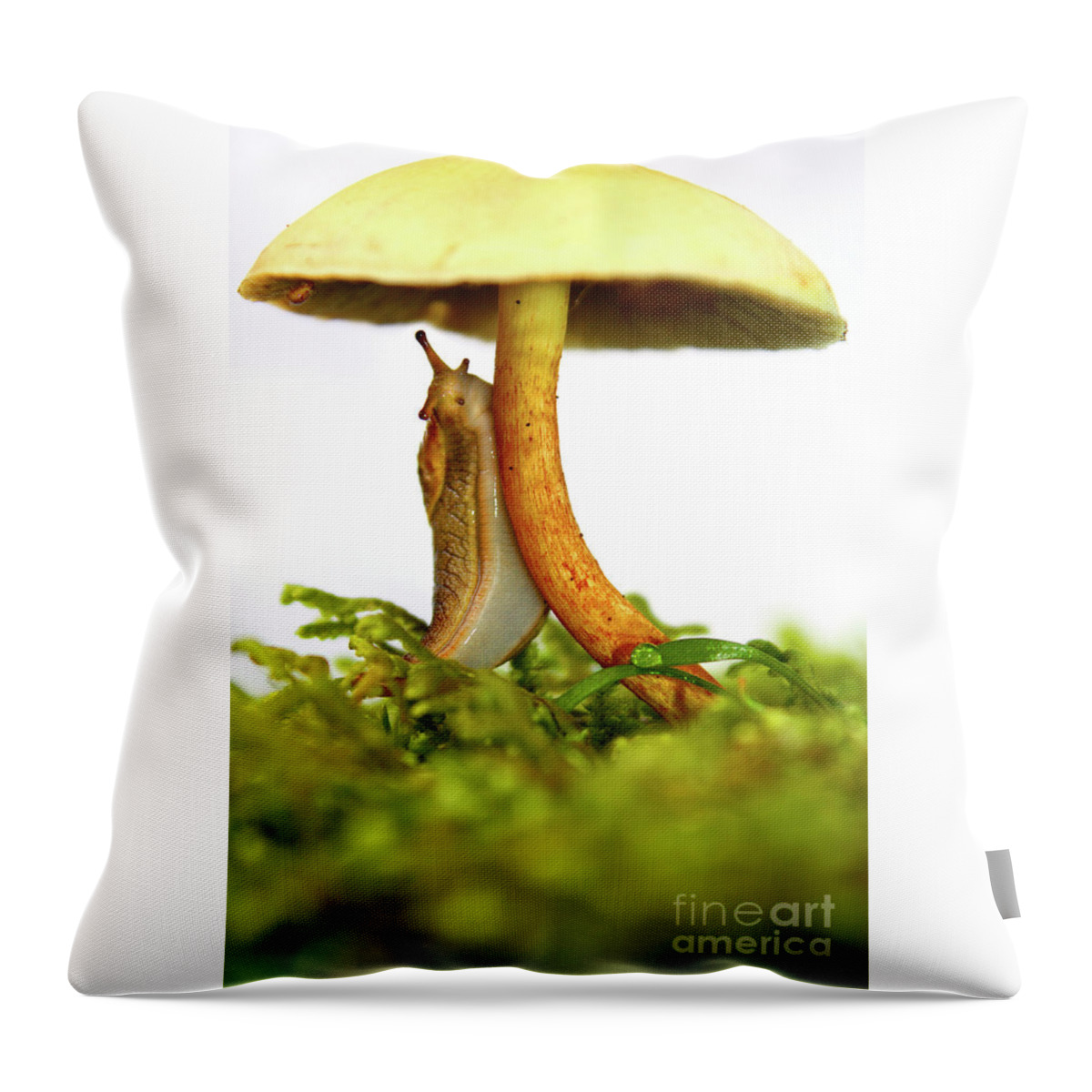 Mushroom Throw Pillow featuring the photograph Yellow slug mushroom whimsical beauty by Robert C Paulson Jr