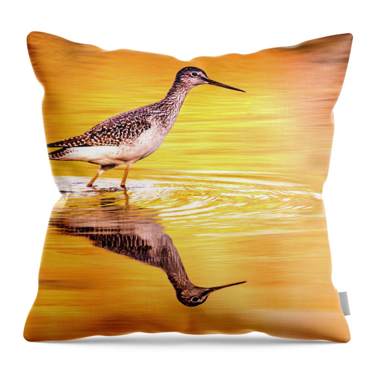 Kingfisher Throw Pillow featuring the photograph Yellowlegs at Sunset by Jerry Cahill