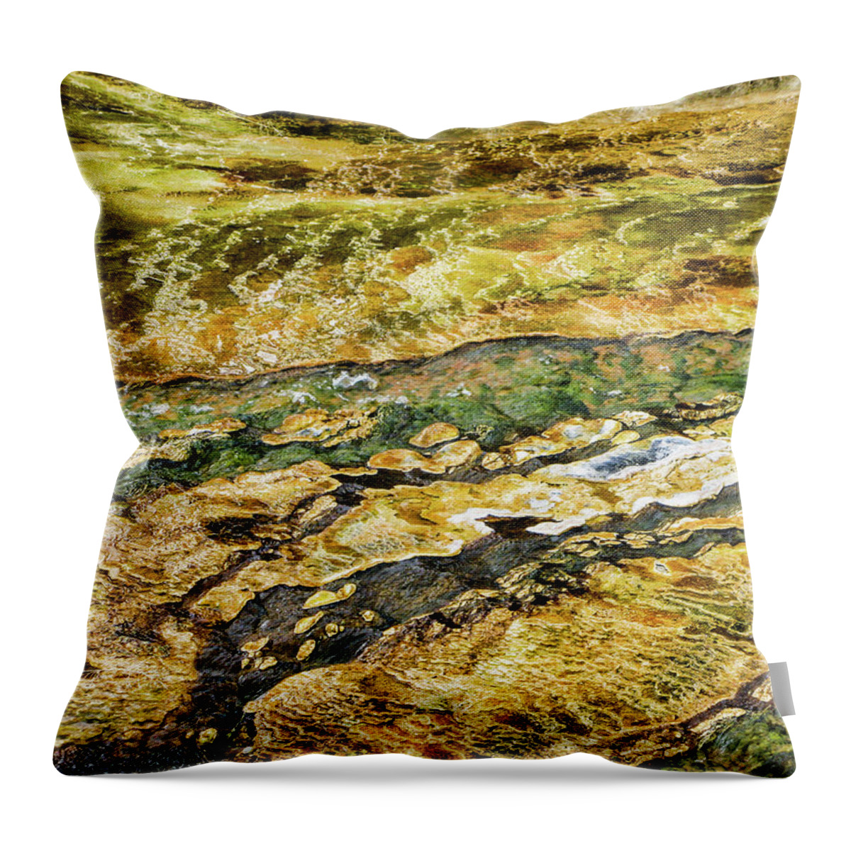 Abstract Throw Pillow featuring the photograph Yellowstone 2 by Segura Shaw Photography