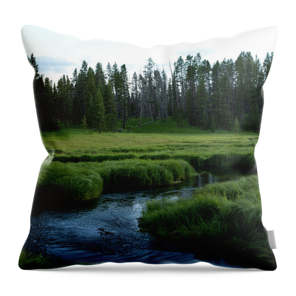 Scenics Throw Pillow featuring the photograph Yellowstone River In Summer by Miguelmalo