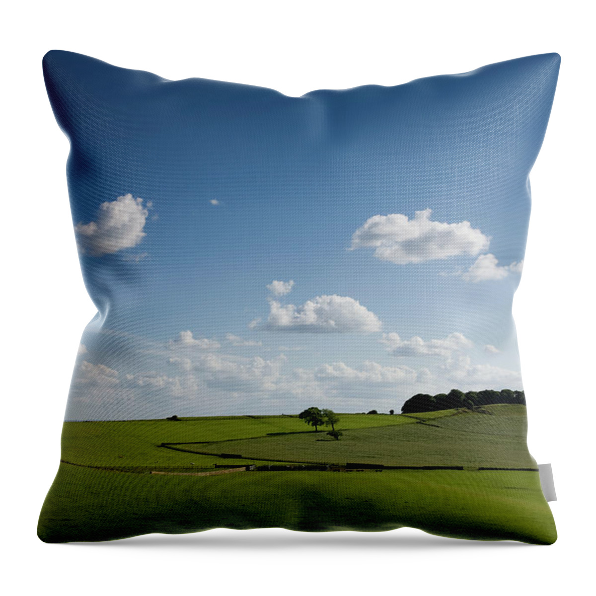 Grass Throw Pillow featuring the photograph Yorkshire Fields by Paul Indigo