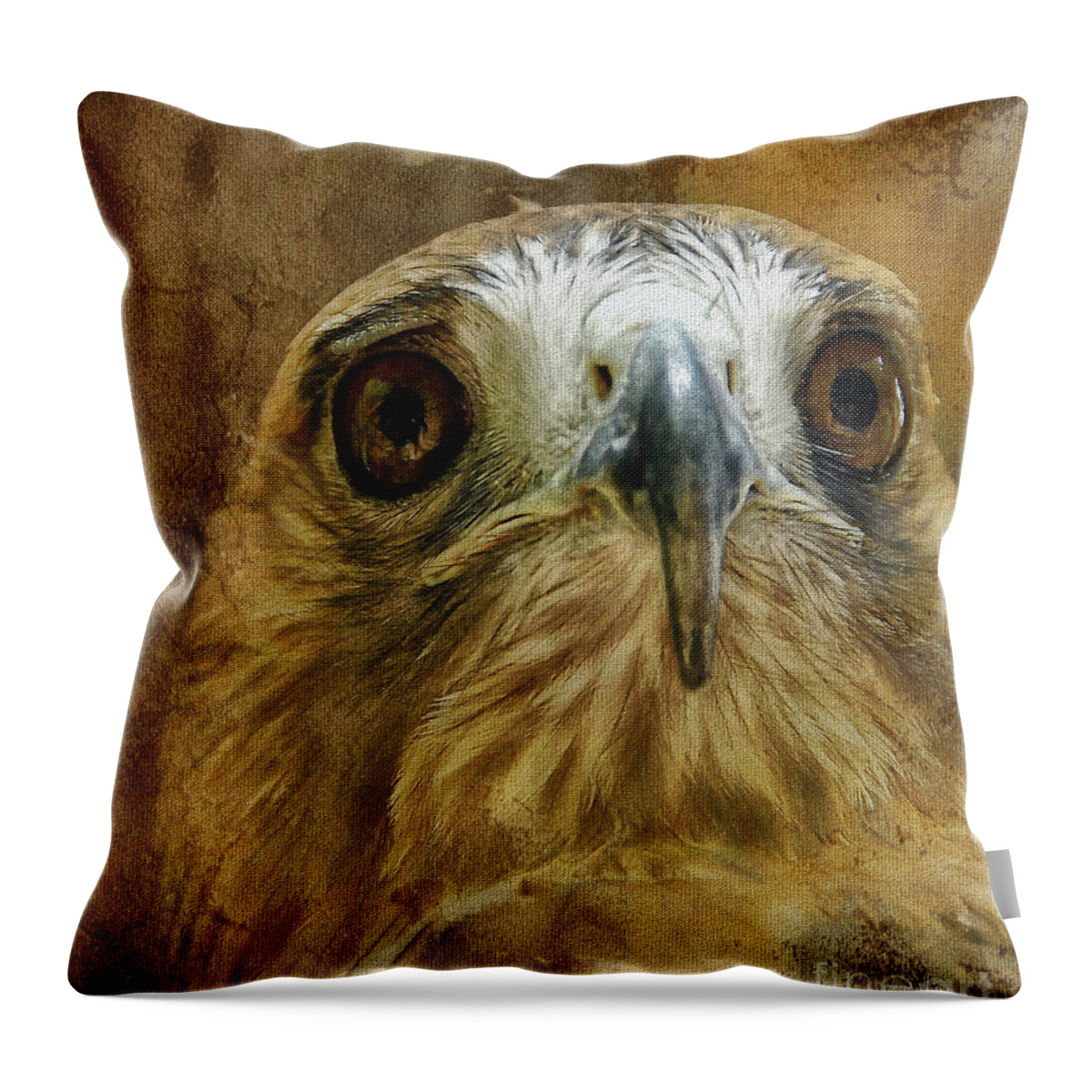 Hawk Throw Pillow featuring the photograph Your Majesty by Lois Bryan