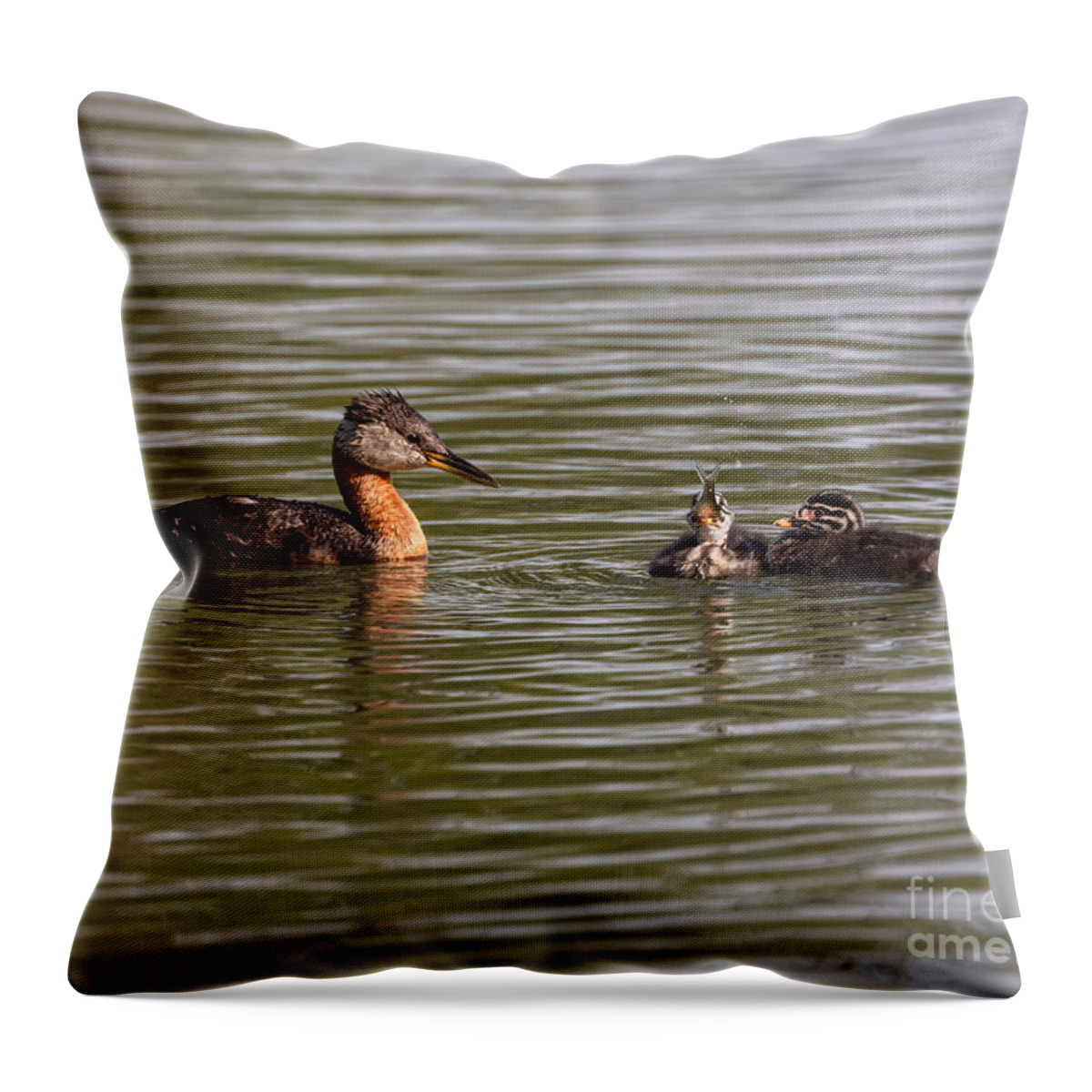 Photography Throw Pillow featuring the photograph Yummy Fish by Alma Danison