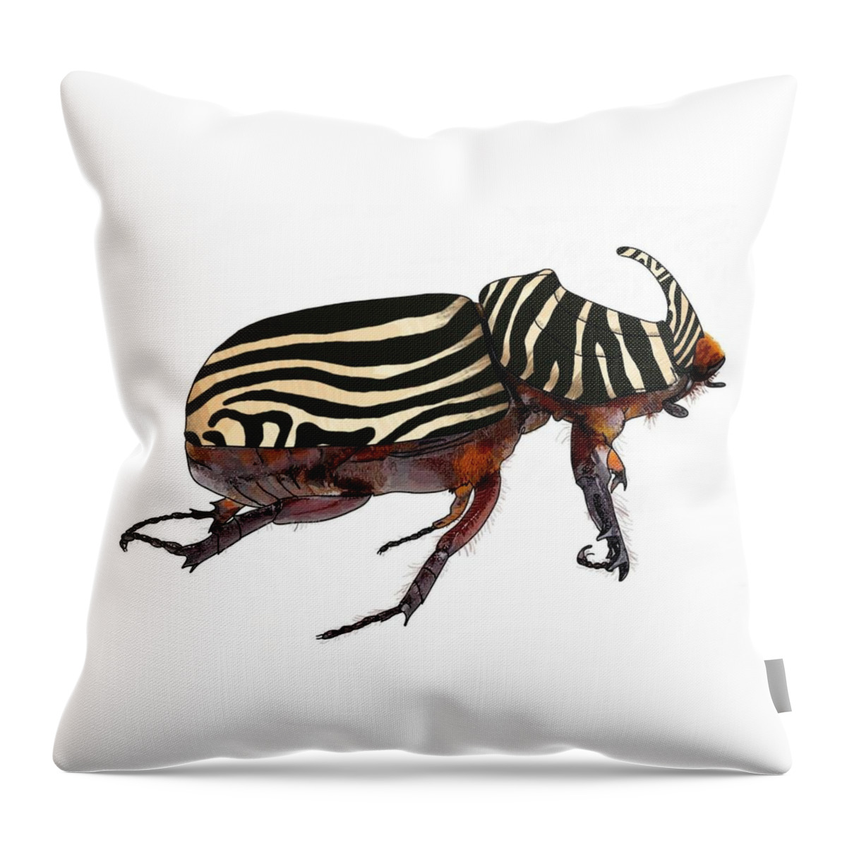 Rhinoceros Beetle Throw Pillow featuring the drawing Zebra Striped Rhinoceros Beetle On White by Joan Stratton