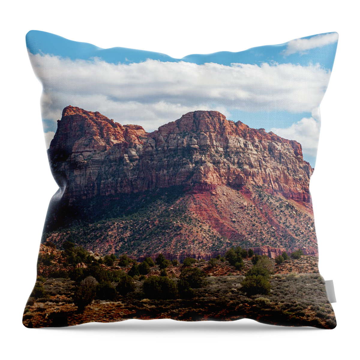 Zion Throw Pillow featuring the photograph Zion by Mark Duehmig
