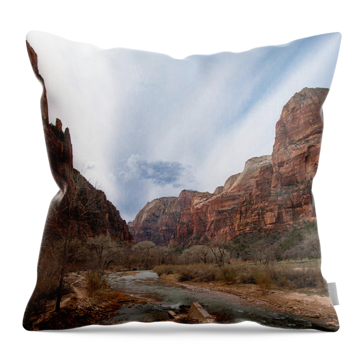 Zion Throw Pillow featuring the photograph Zion National Park and Virgin River by Mark Duehmig