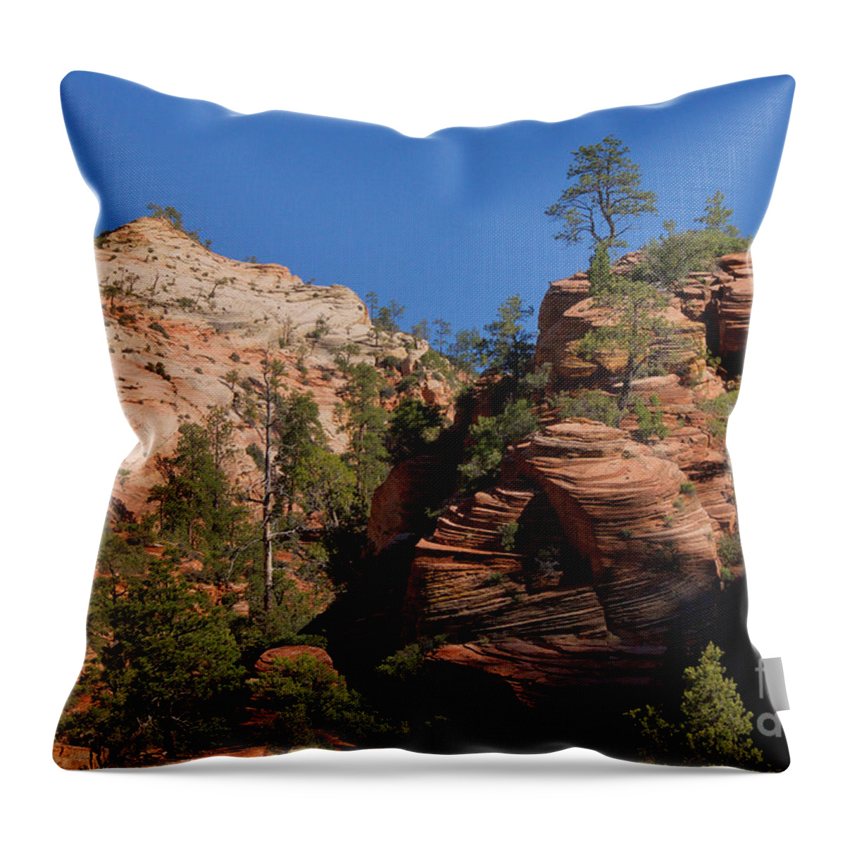 Photography Throw Pillow featuring the photograph Zion by Sean Griffin