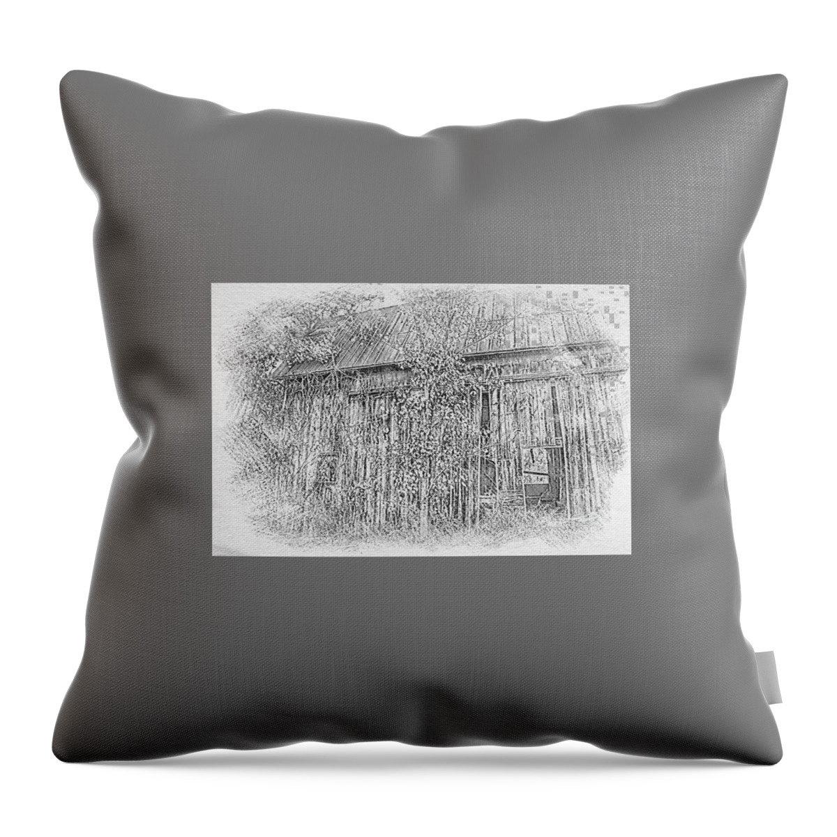 Barn Throw Pillow featuring the photograph 0002 - Annie's Barn II by Sheryl L Sutter