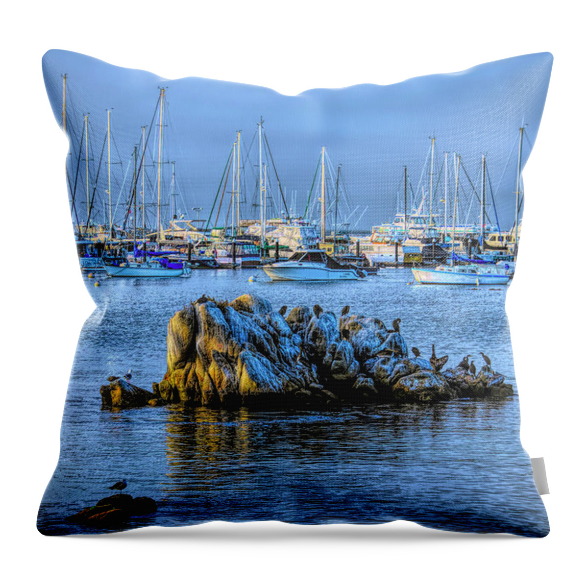 Seascape Throw Pillow featuring the photograph A Cold Gray Day on Bird Rock #1 by Floyd Snyder