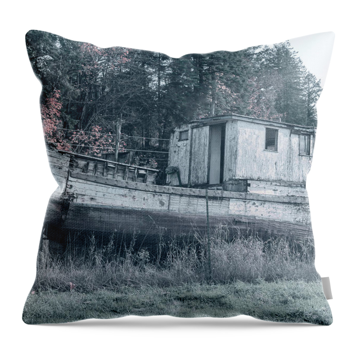 Weathered Boat Throw Pillow featuring the photograph Abandoned Relic Boat 2121 by Cathy Anderson