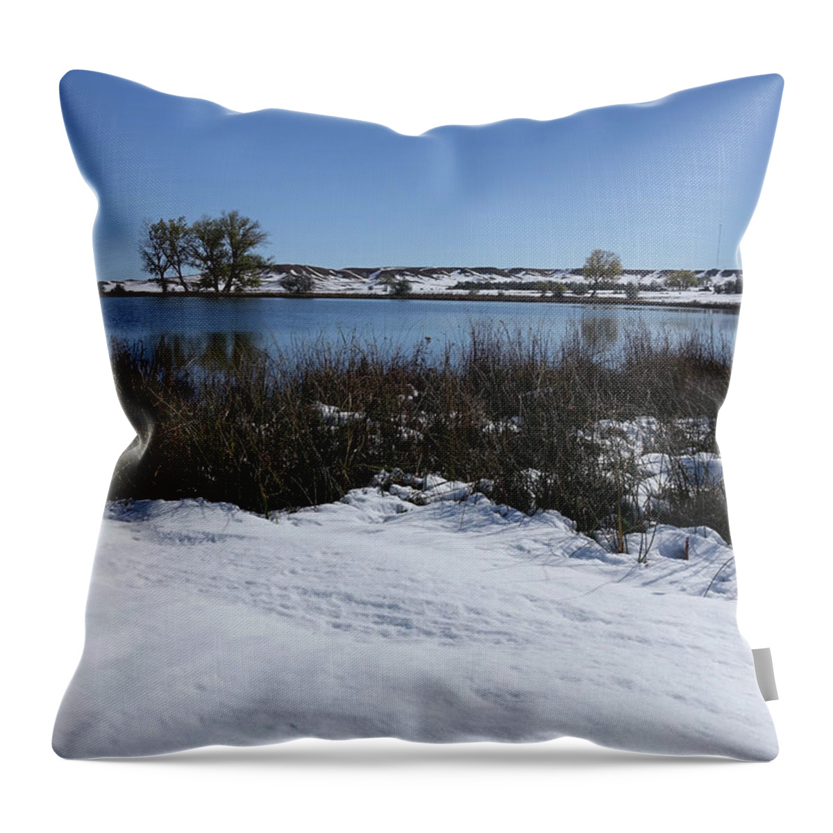 Lake Throw Pillow featuring the photograph Across the lake #1 by Cathy Anderson