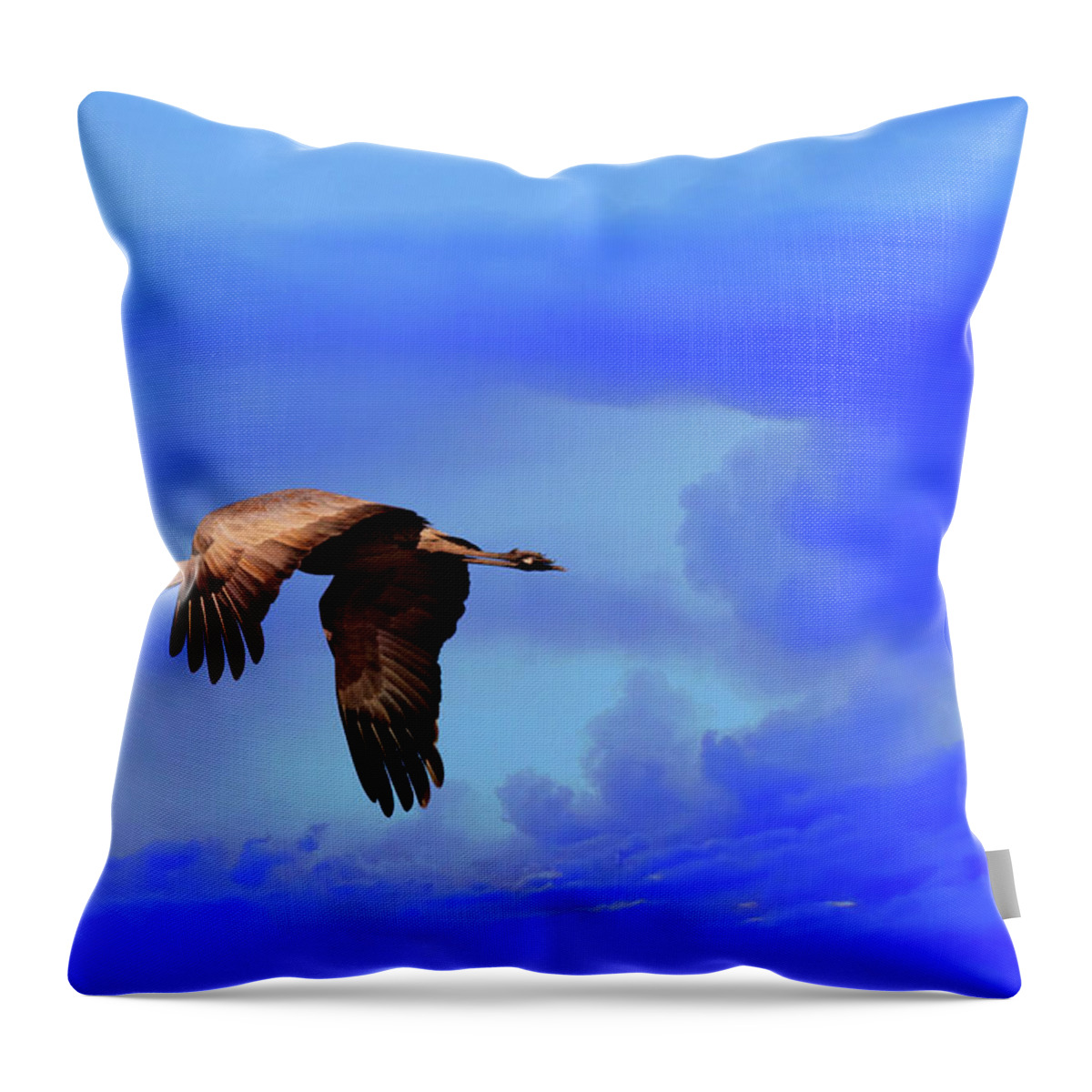 Wildlife Throw Pillow featuring the photograph Against The Storm by Robert Harris