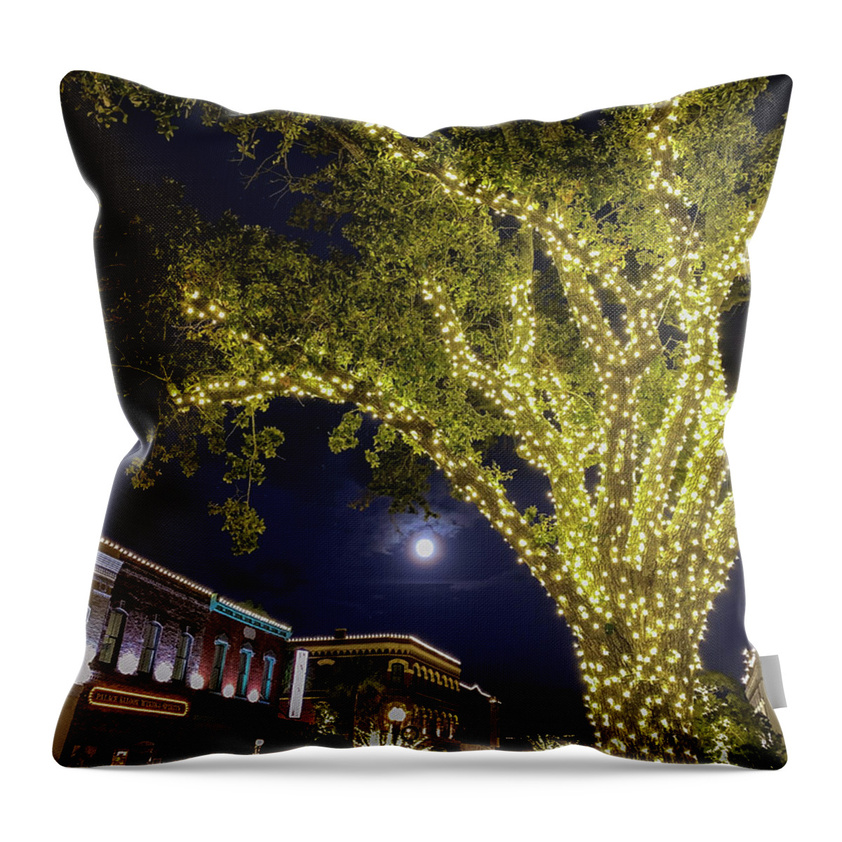 Christmas Amelia Island Throw Pillow featuring the photograph Amelia Island Christmas, Florida #1 by Dawna Moore Photography