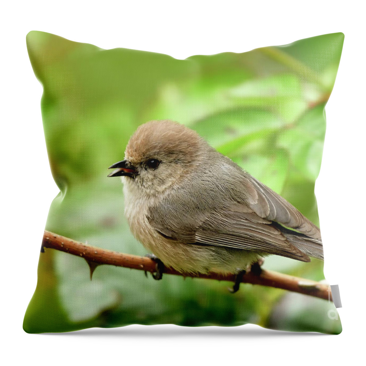 Psaltriparus Minimus Throw Pillow featuring the photograph American Bushtit #1 by Amazing Action Photo Video