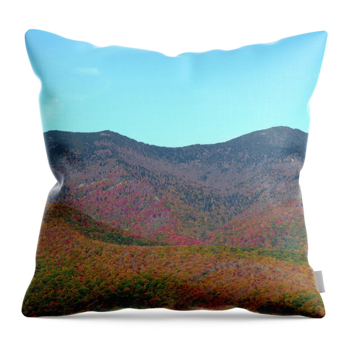 Appalachian Throw Pillow featuring the photograph Appalachian Autumn #1 by Joshua Bales