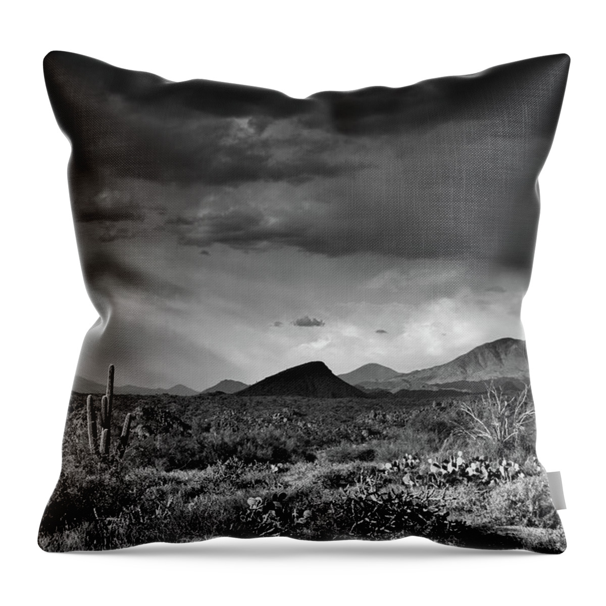 Arizona Throw Pillow featuring the photograph Arizona Desert Black and White #1 by Chance Kafka