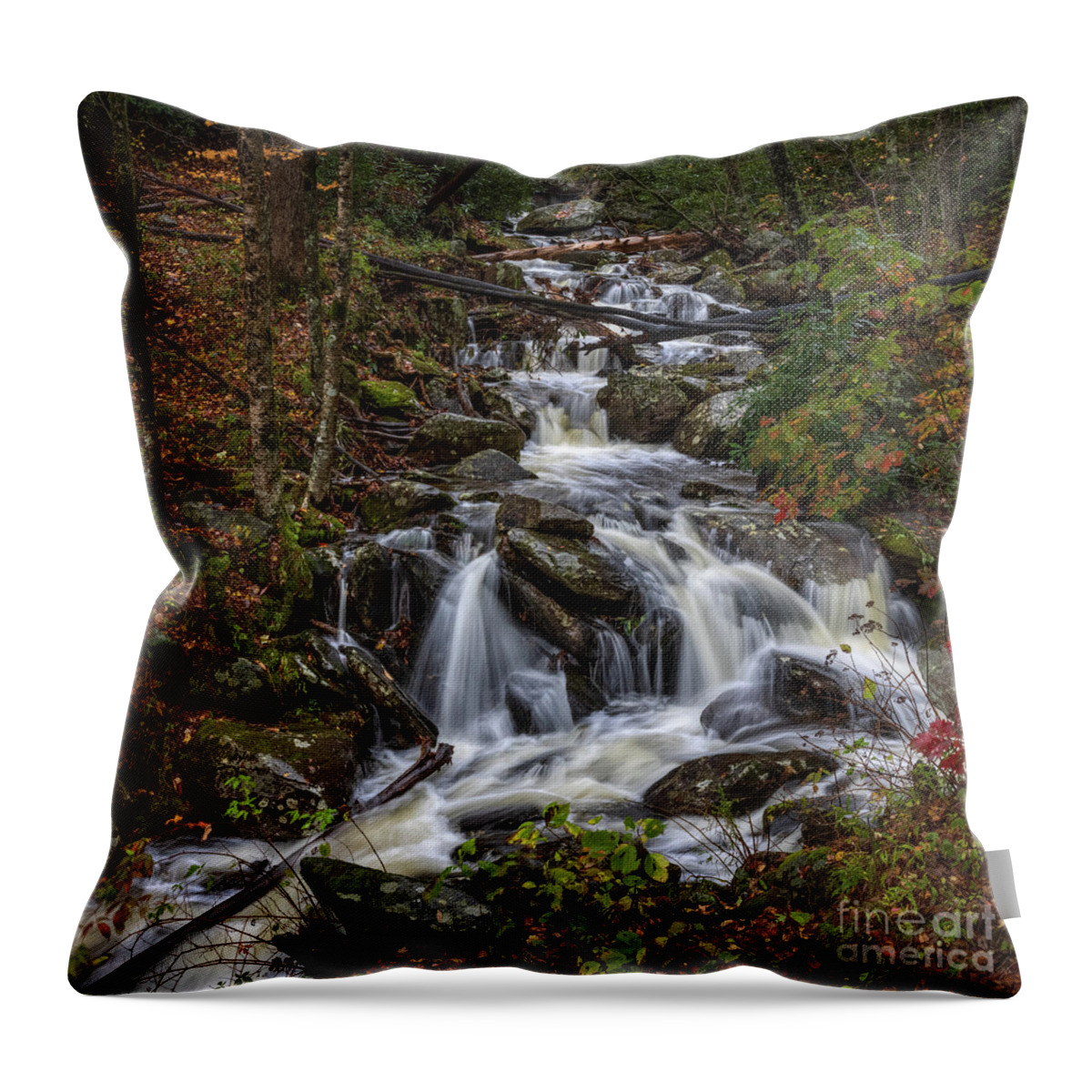 Autumn Throw Pillow featuring the photograph Autumn Falls #1 by Doug Sturgess