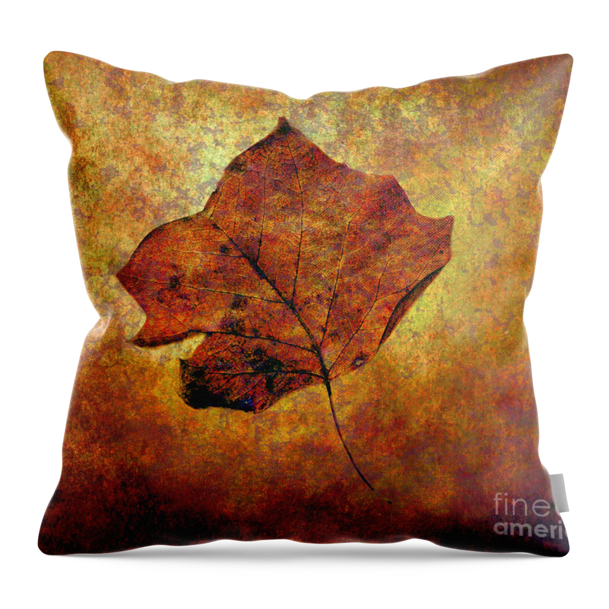 Autumn Throw Pillow featuring the photograph Autumn Leaf #1 by Judi Bagwell