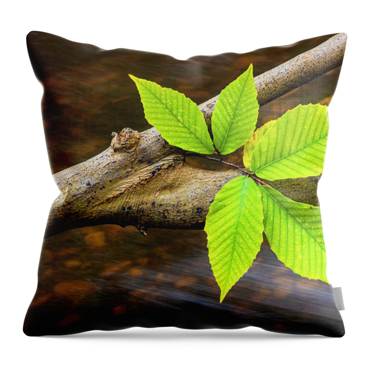 Autumn Throw Pillow featuring the photograph Autumn Leaf On Fallen Branch by Gary Slawsky