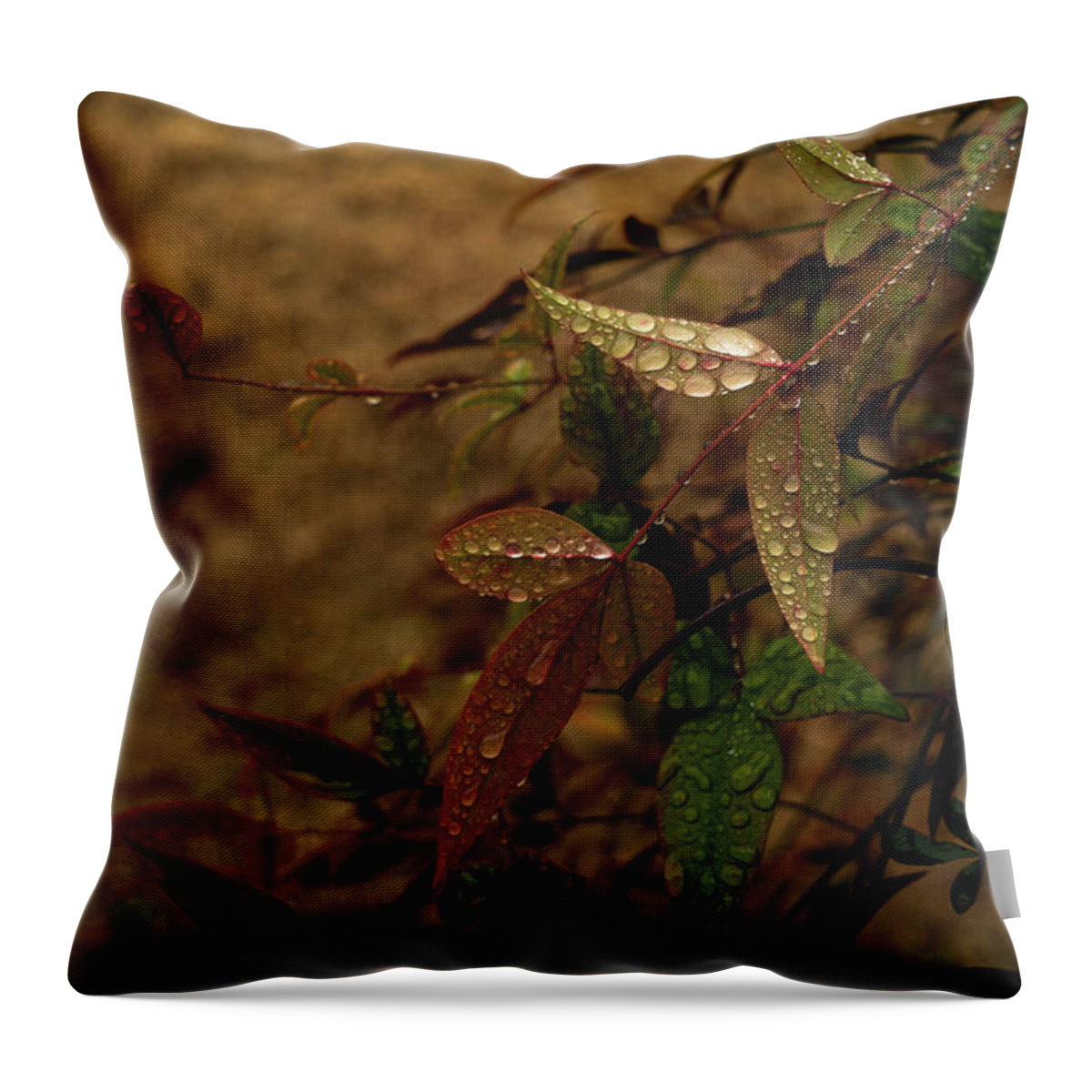 Leaves Throw Pillow featuring the photograph Autumn Leaves #1 by Karen Harrison Brown