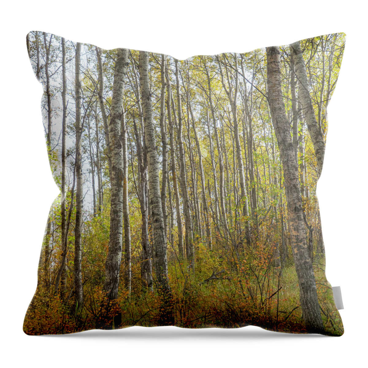 Woods Throw Pillow featuring the photograph Autumn Woods #1 by Phil And Karen Rispin