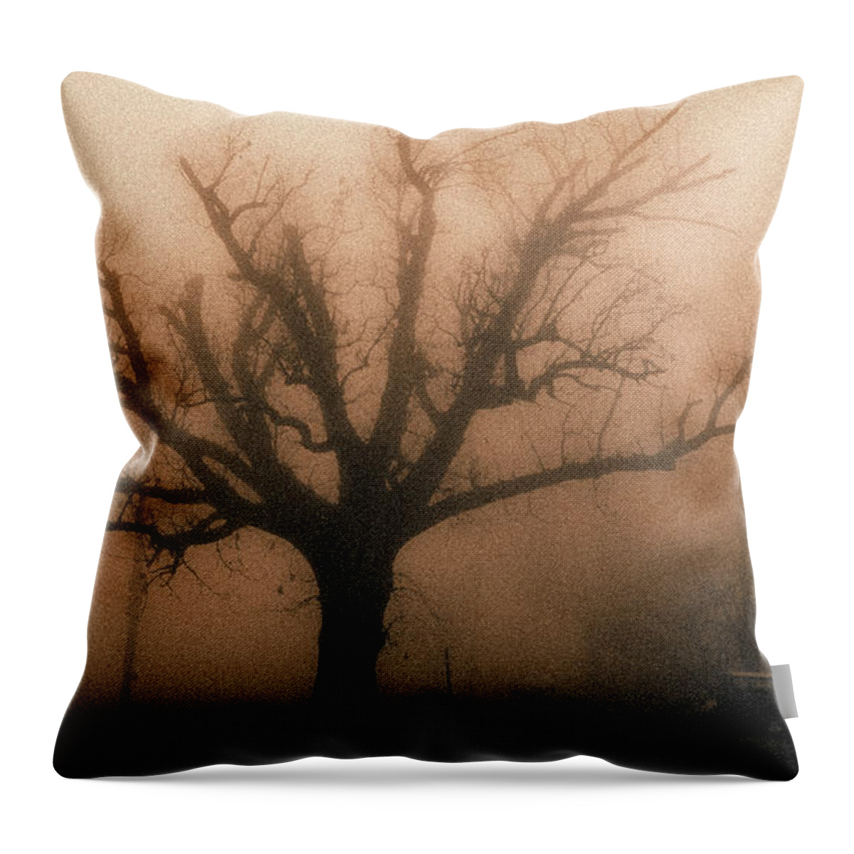 Bare Throw Pillow featuring the photograph Bare tree on a foggy morning #1 by David Morehead