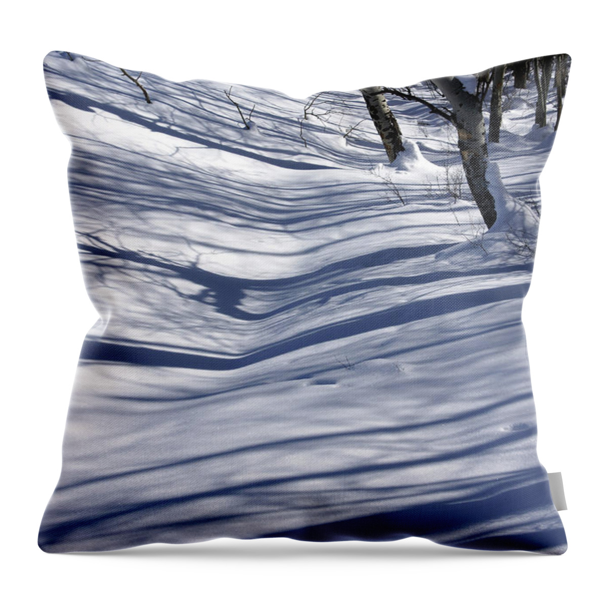 Nature Throw Pillow featuring the photograph Bare white aspens and shadows #1 by Steve Estvanik