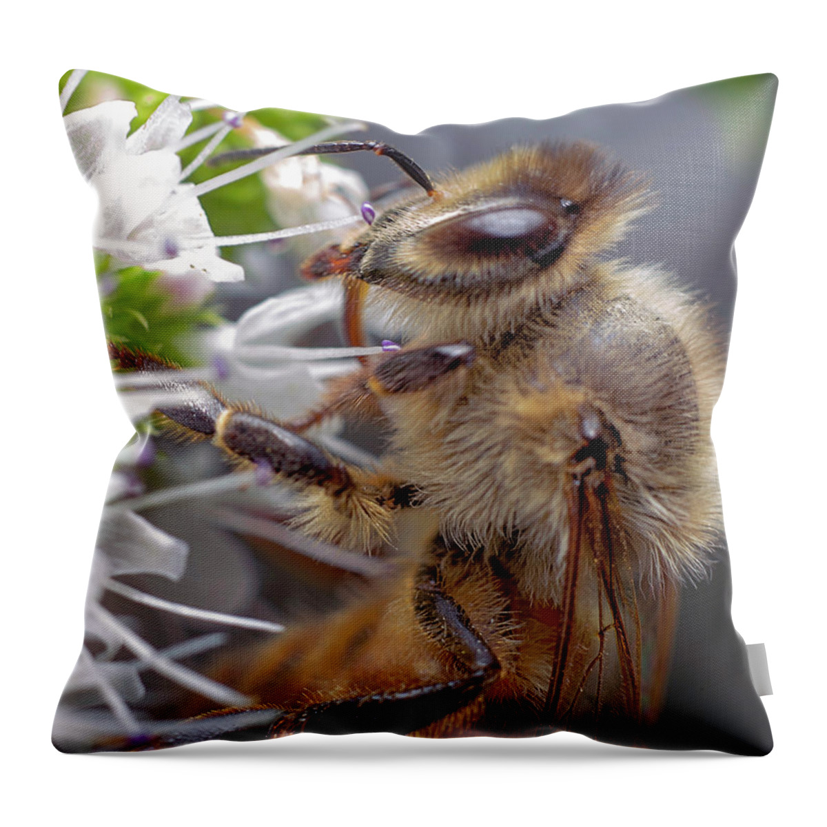 Bee Throw Pillow featuring the photograph Bee 1 #1 by Endre Balogh