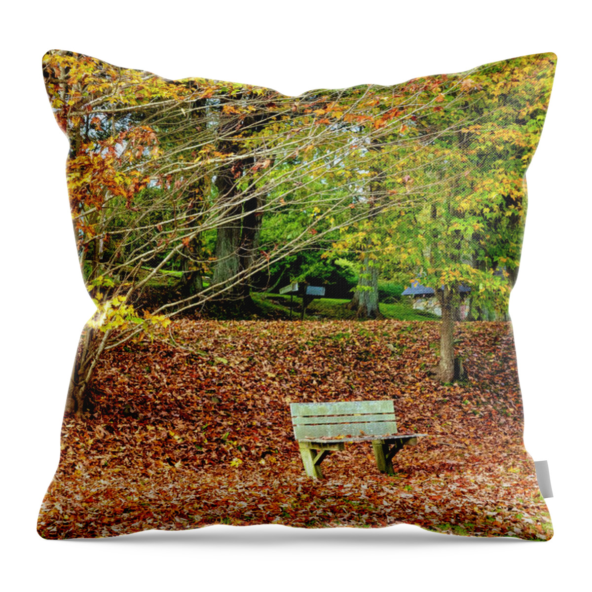 Barns Throw Pillow featuring the photograph Bench in the Fallen Leaves Creeper Trail in Autumn Fall Colors D #1 by Debra and Dave Vanderlaan