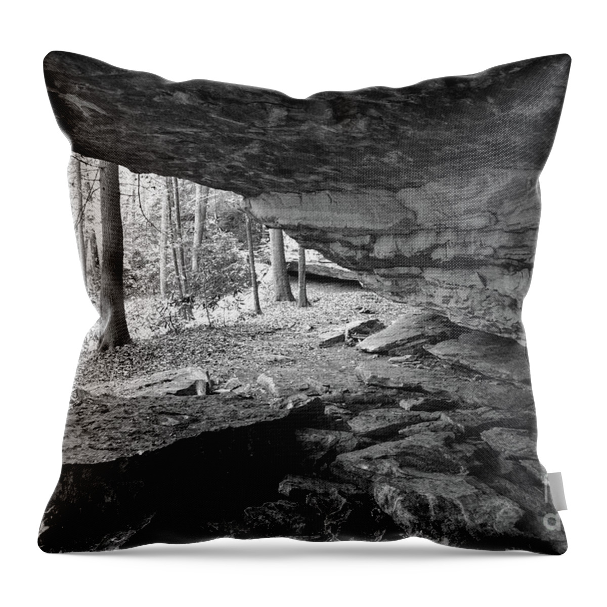 Tennessee Throw Pillow featuring the photograph Black And White Cave #1 by Phil Perkins