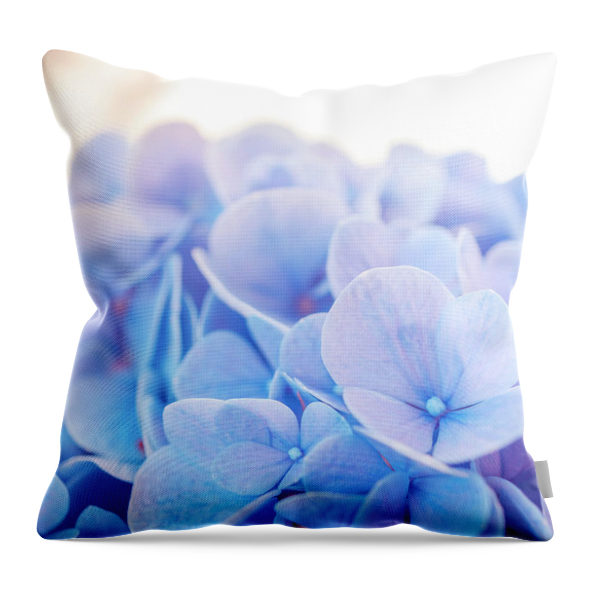 Blue Hydrangea Throw Pillow featuring the photograph Blue Hydrangea a by Lilia S