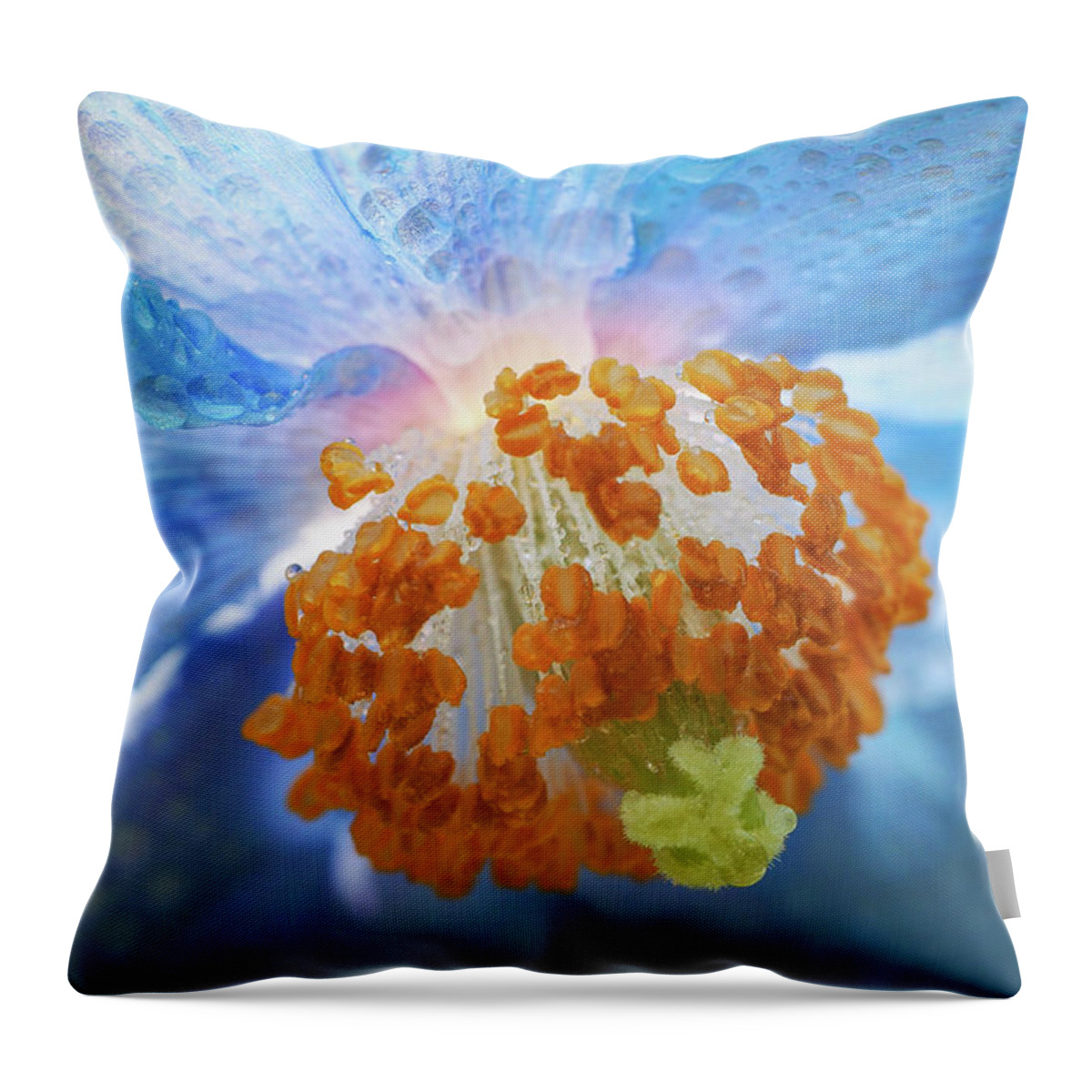 Himalayan Blue Poppies Throw Pillow featuring the photograph Blue Poppy #1 by Louise Tanguay