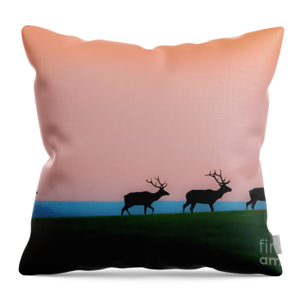 Elk Throw Pillow featuring the photograph Bull Elk At Dawn #1 by Gary Beeler