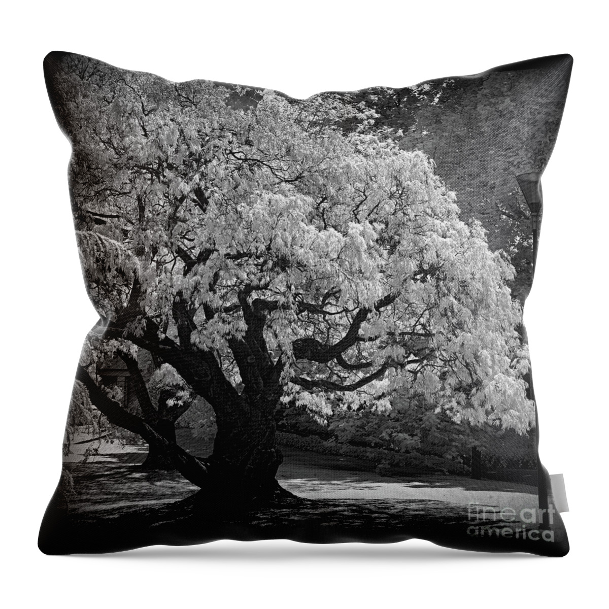Tree Throw Pillow featuring the photograph Can't Make a Sound #1 by Russell Brown