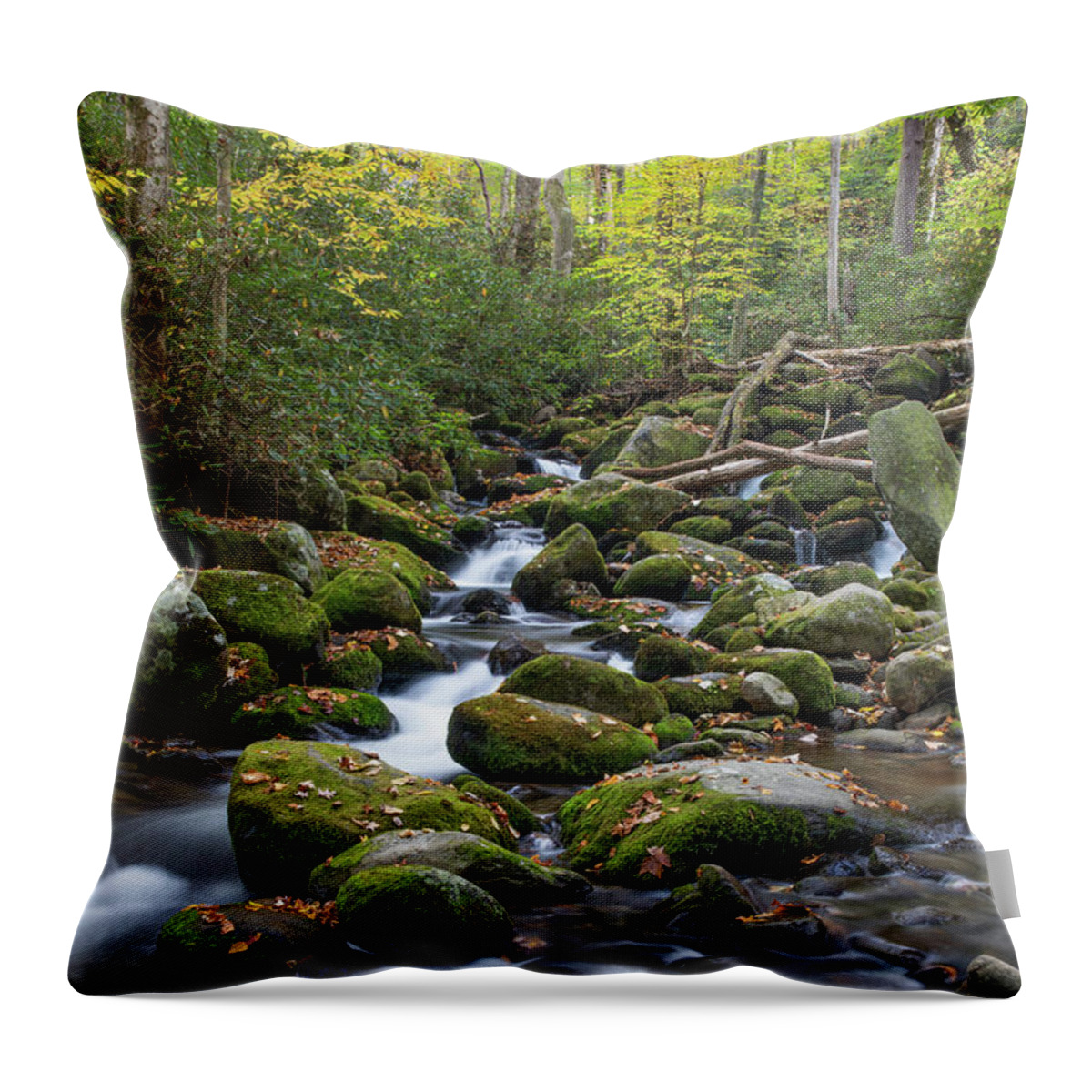 Art Prints Throw Pillow featuring the photograph Cascade 2 by Nunweiler Photography