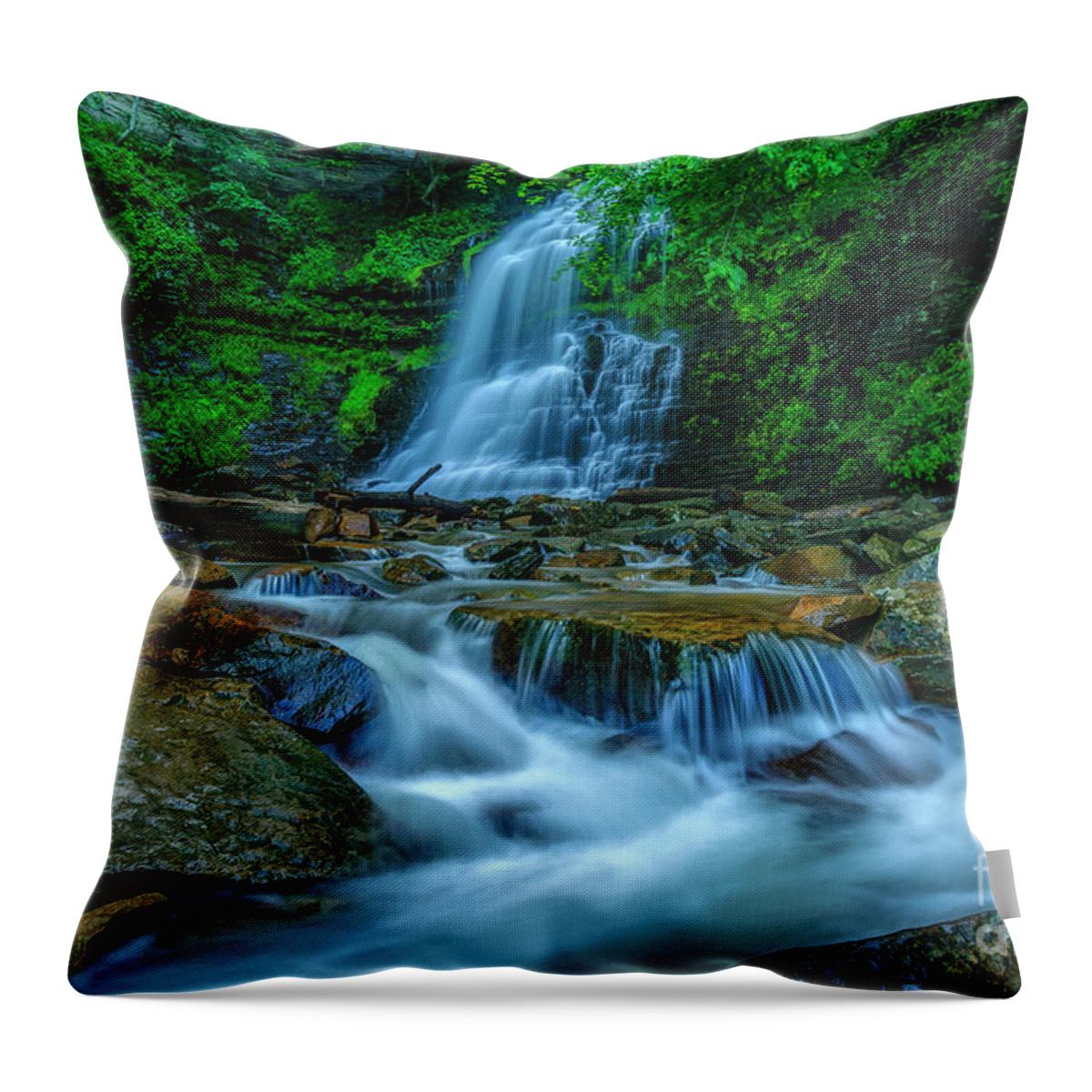 Cathedral Falls Throw Pillow featuring the photograph Cathedral Falls in Morning Shade #1 by Thomas R Fletcher