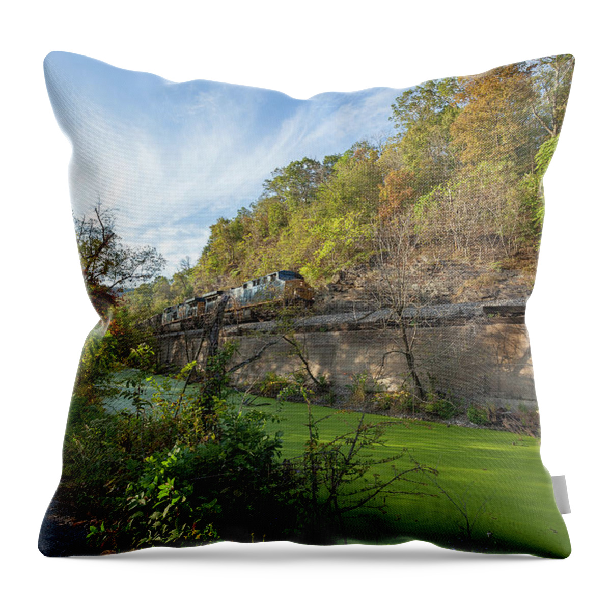 C&o Canal Throw Pillow featuring the photograph Chesapeake and Ohio Canal Towpath #1 by Chris Spencer