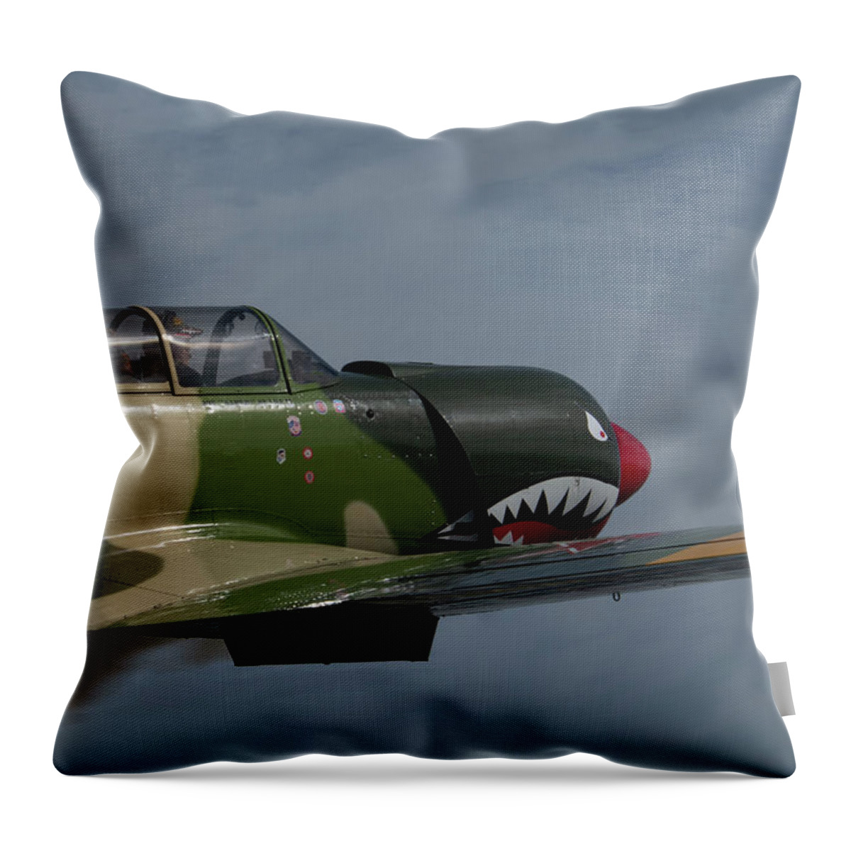 Airplane Throw Pillow featuring the photograph CJ6 in Flight #2 by Carolyn Hutchins